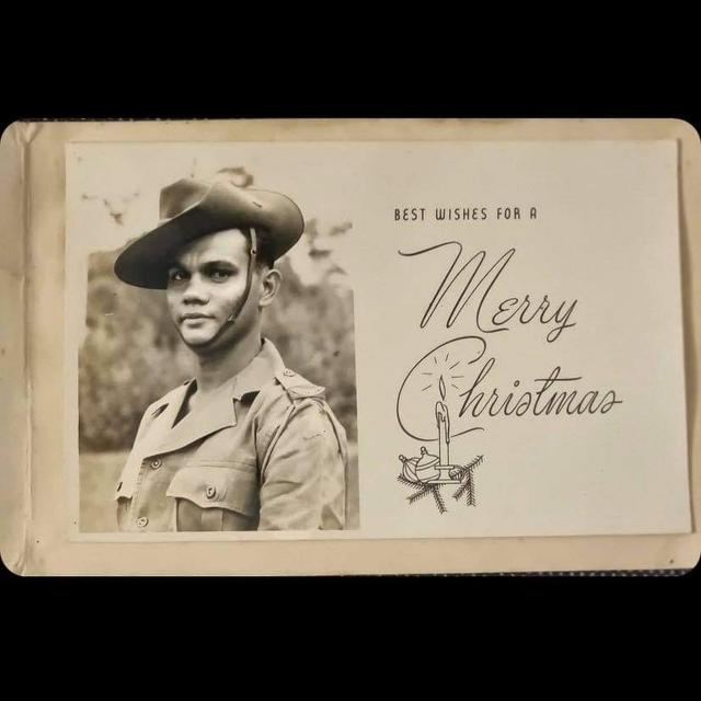 Green Skin - Aboriginal Vietnam Veterans - podcast episode cover