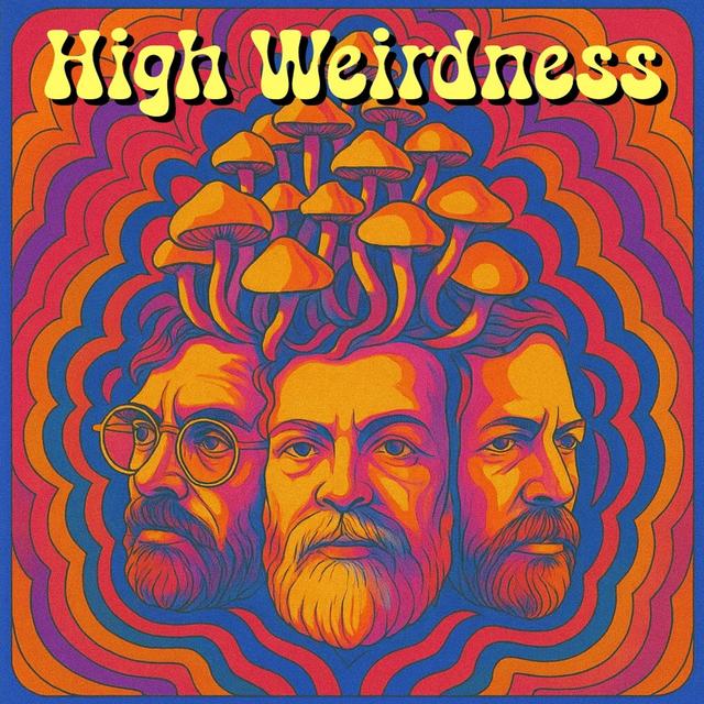 S04E37 High Weirdness with Erik Davis - podcast episode cover