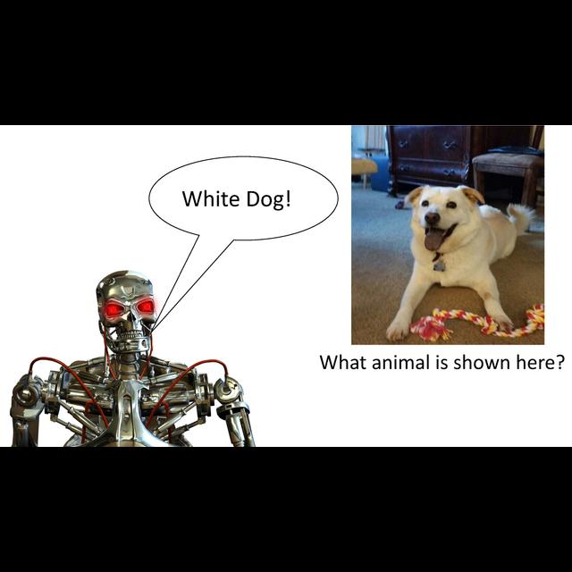 LM101-045: How to Build a Deep Learning Machine for Answering Questions about Images - podcast episode cover