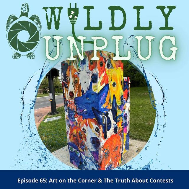 Art on the Corner & The Truth About Contests - podcast episode cover