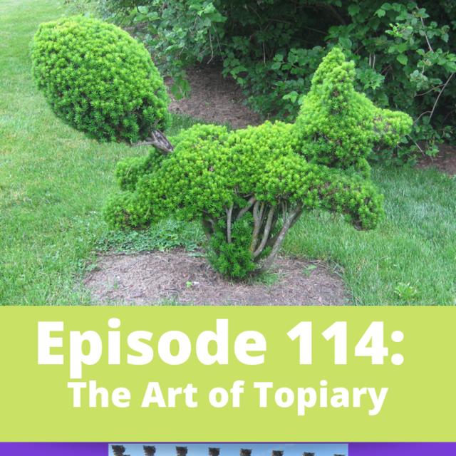 The Art of Topiary - podcast episode cover