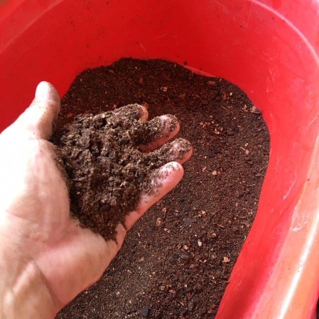 Maria David y el compost Parte 1 - podcast episode cover