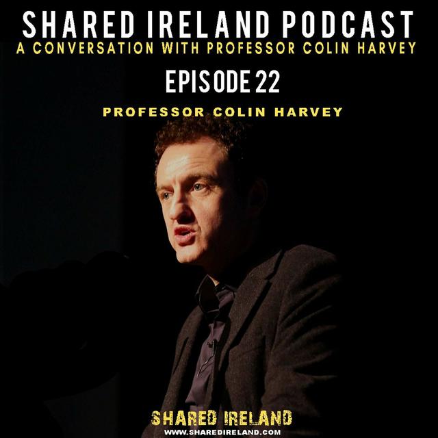A Conversation With Professor Colin Harvey - podcast episode cover