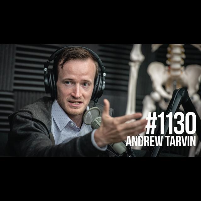 1130: Andrew Tarvin- The World's First Humor Engineer - podcast episode cover