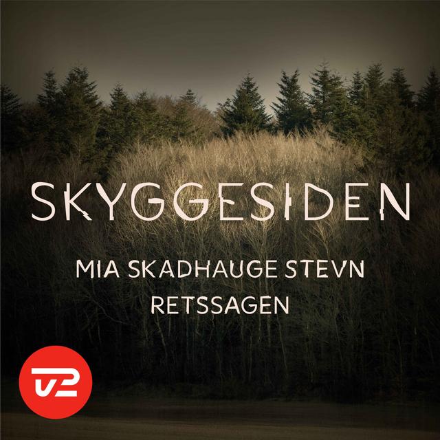 Mia Skadhauge Stevn-retssagen - Dagen før: Sagen opridset - podcast episode cover