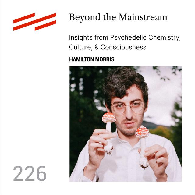Hamilton Morris - Beyond the Mainstream: Insights from Psychedelic Chemistry, Culture, & Consciousness - podcast episode cover