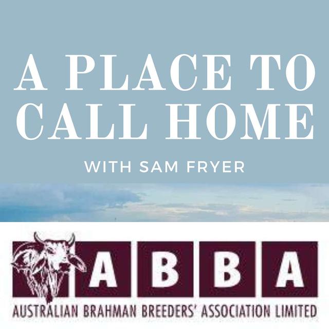 #32: Taking over the reins with Hamish Brett from Brett Cattle Company. - podcast episode cover