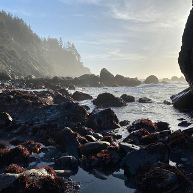 127: Winter On The Redwood Coast - podcast episode cover