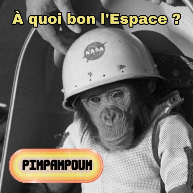 #29.3 - À quoi bon l'Espace ? - Marser seul - podcast episode cover