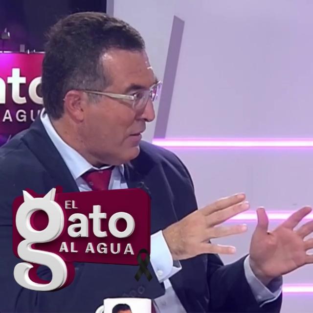 El Gato al Agua |08/11/24 - podcast episode cover