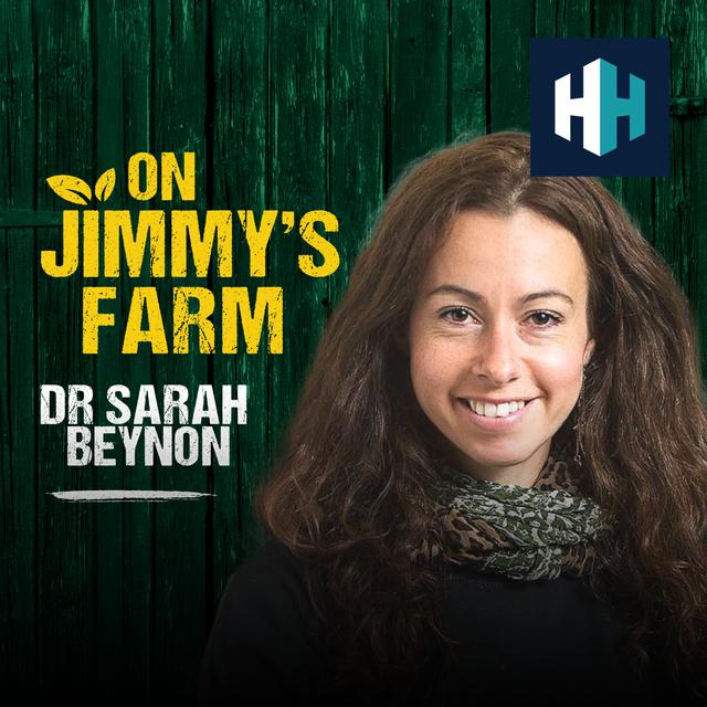 Eating Insects with Dr Sarah Beynon - podcast episode cover
