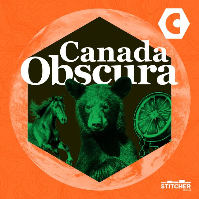 (Canada Obscura) The Feral Horses Of Sable Island - podcast episode cover