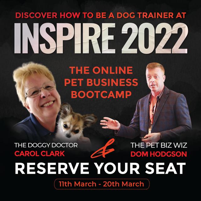 Episode 195 - Discover the Five Big Hurdles that Newbie Dog Trainers face with the Doggy Doctor, Carol Clark - podcast episode cover