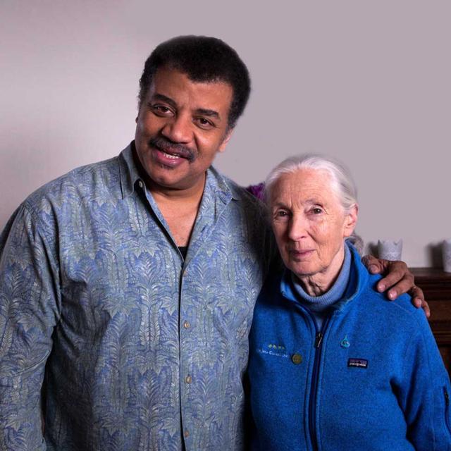 Into the Wild, with Jane Goodall - podcast episode cover
