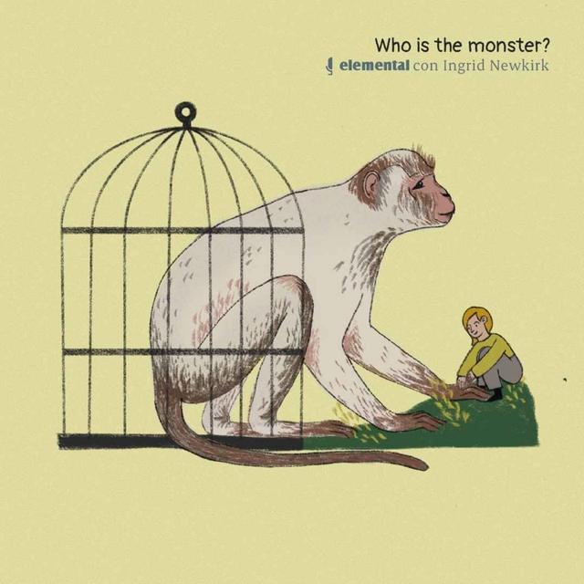 Who is the monster? - podcast episode cover