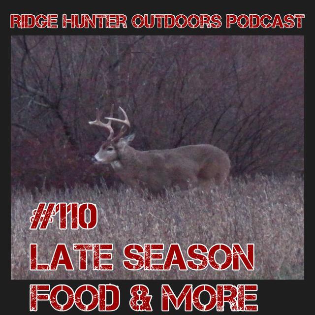 First Show of the New Year, Looking Back and Ahead | RHO Podcast #110 - podcast episode cover