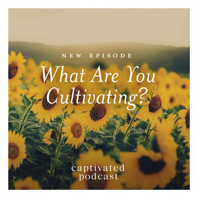 What Are You Cultivating? - podcast episode cover