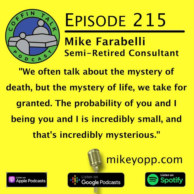 #215 - Consultant - Mike Farabelli - podcast episode cover
