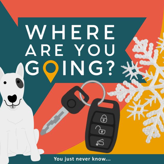 A Frozen Lock, Snow and a Bull Terrier - podcast episode cover