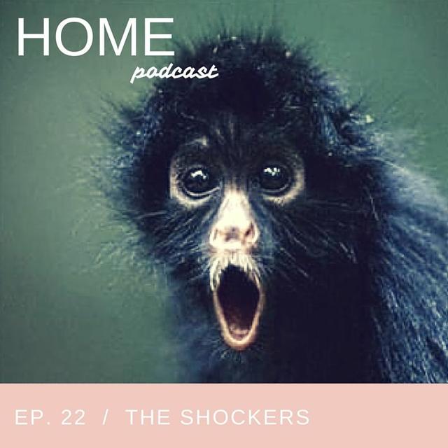 Episode 22: The Shockers - podcast episode cover