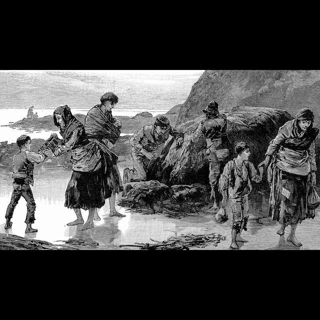 The Irish Holocaust - podcast episode cover