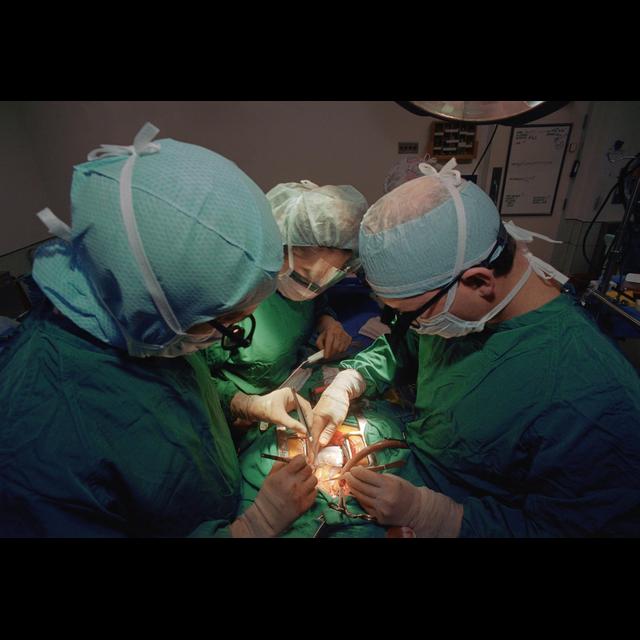Primate Conflicts Play Out in the Operating Room - podcast episode cover