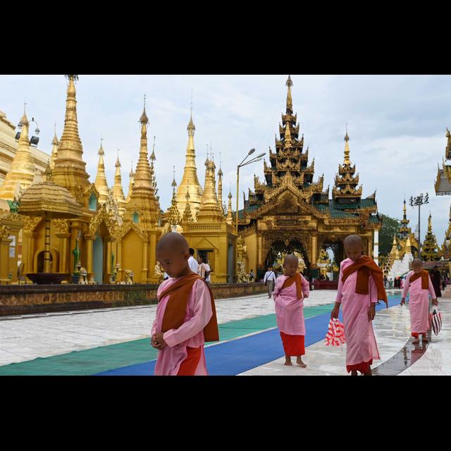 Women and the Dhamma - podcast episode cover