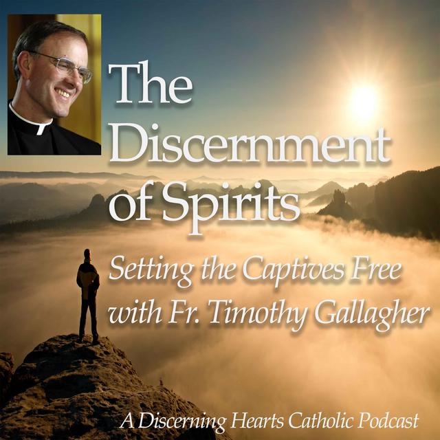DOS#3- The First Rule – Discernment of Spirits w/ Fr. Timothy Gallagher – Discerning Hearts Podcast - podcast episode cover