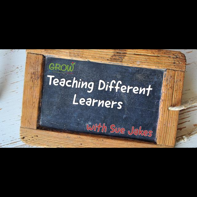 E13: Teaching Different Learners - podcast episode cover