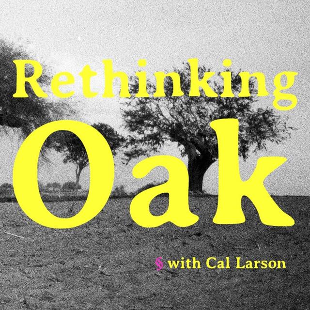 Rethinking Oak - podcast episode cover