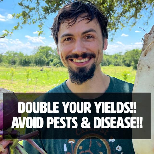 Doubling Your Yields!! Avoid Pests & Disease [FULL WEBINAR] - podcast episode cover