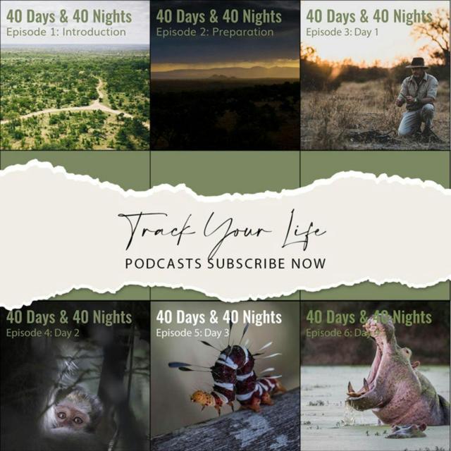 [BONUS] Boyd Varty - 40 Days and 40 Nights - podcast episode cover