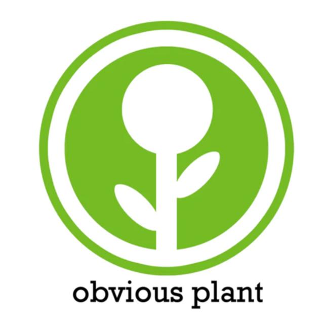 Checkin Out Obvious Plant Store - podcast episode cover