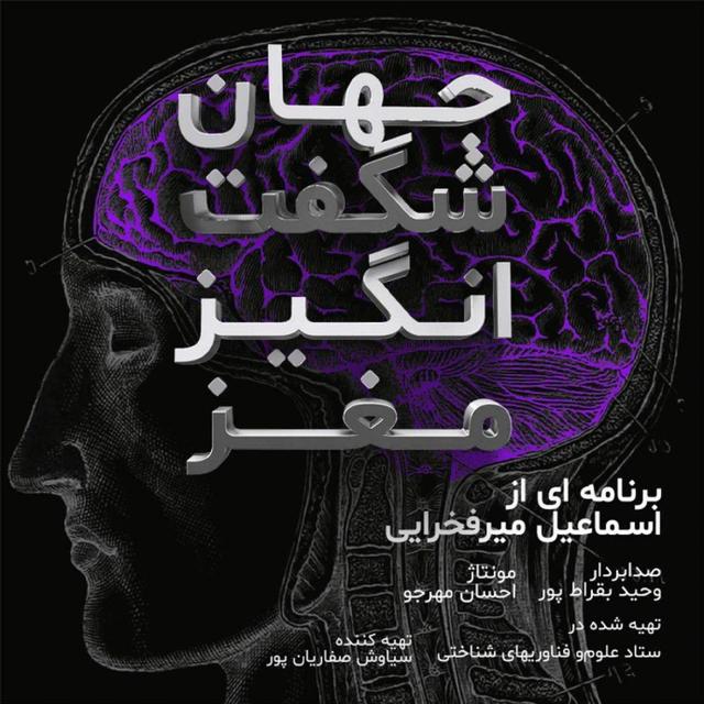 حافظه انسان یا یک فیلم ترسناک؟! - podcast episode cover
