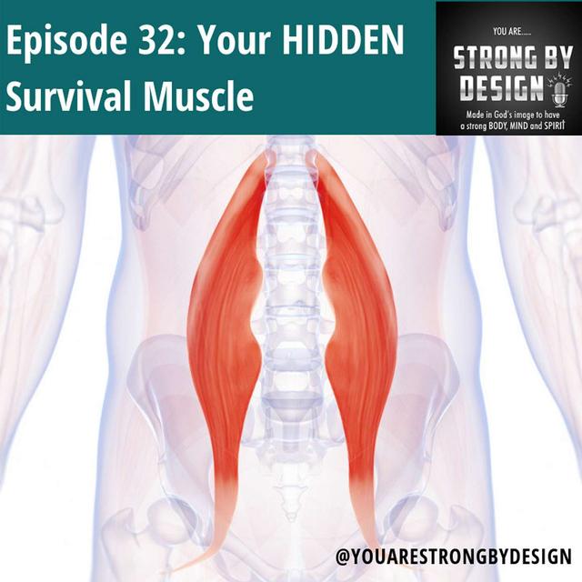 Ep 32 Your HIDDEN Survival Muscle with Chris & Brian - podcast episode cover