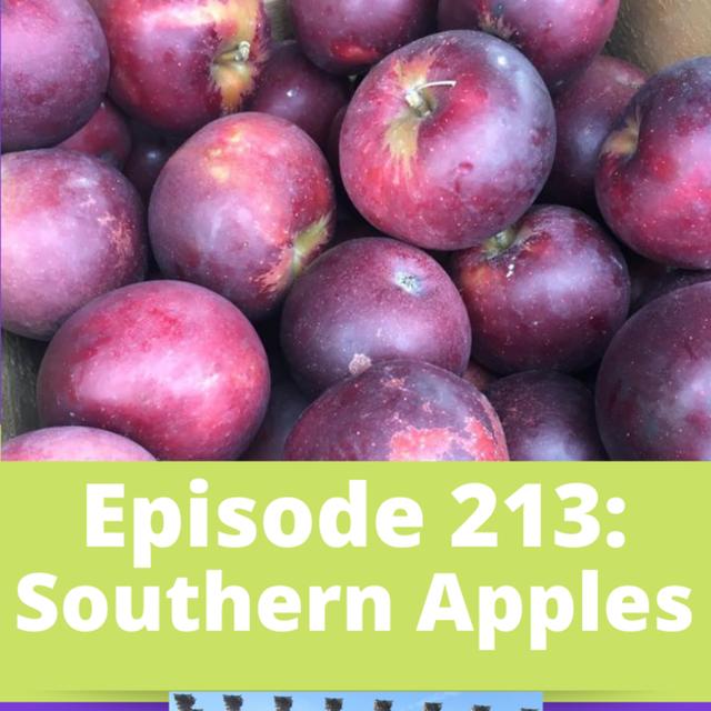 Southern Apples - podcast episode cover