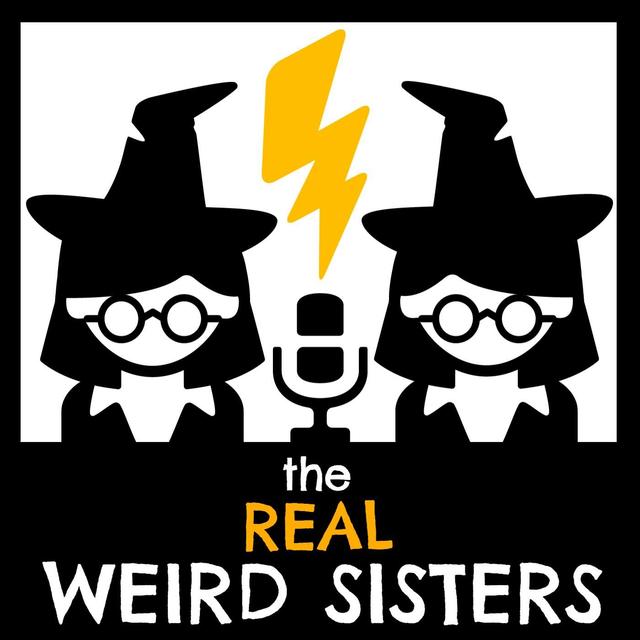 One Page at a Time: Book 5, Page 341 - podcast episode cover
