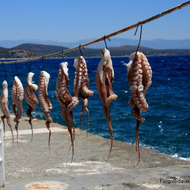 Los Viajes de Nautilus 1x06 - Peloponeso, la Grecia más auténtica - podcast episode cover