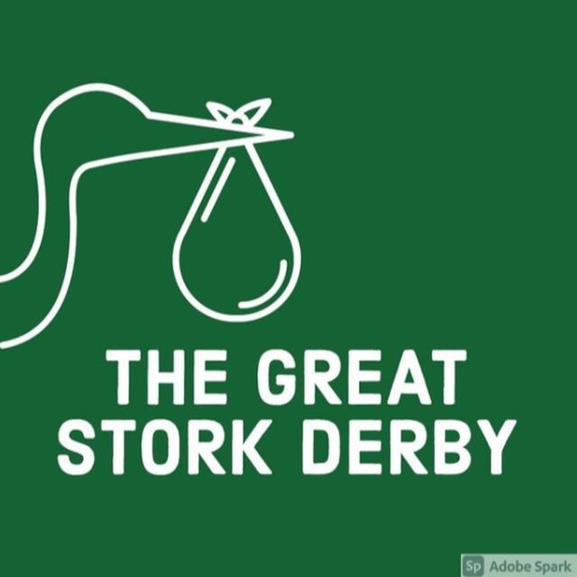 Lost Episode: Great Stork Derby - podcast episode cover