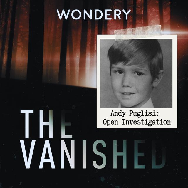 Andy Puglisi: Open Investigation - podcast episode cover