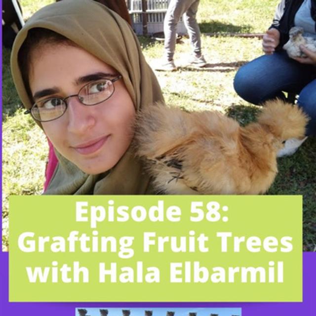 Grafting Fruit Trees - podcast episode cover