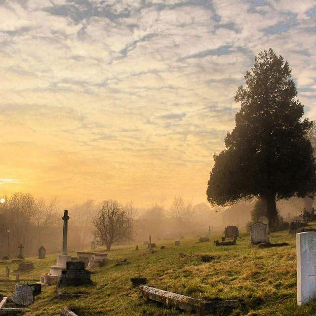 Death and Immortality (Thinking About Death Part 2) - podcast episode cover