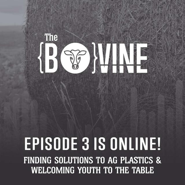 Finding solutions to ag plastics and welcoming youth to the table - podcast episode cover