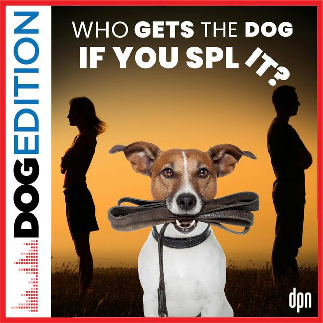 Who gets the dog if we split? | Dog Edition #44 - podcast episode cover