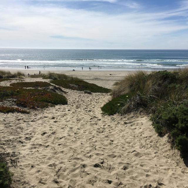 Internet Cables Could Also Measure Quakes - podcast episode cover