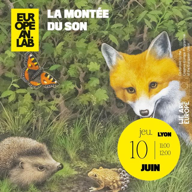 La montée du son - podcast episode cover