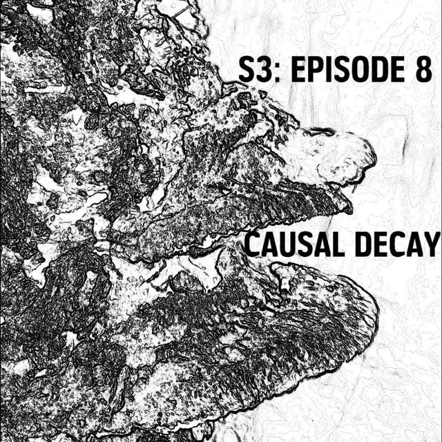 S3: E08 - Causal Decay - podcast episode cover