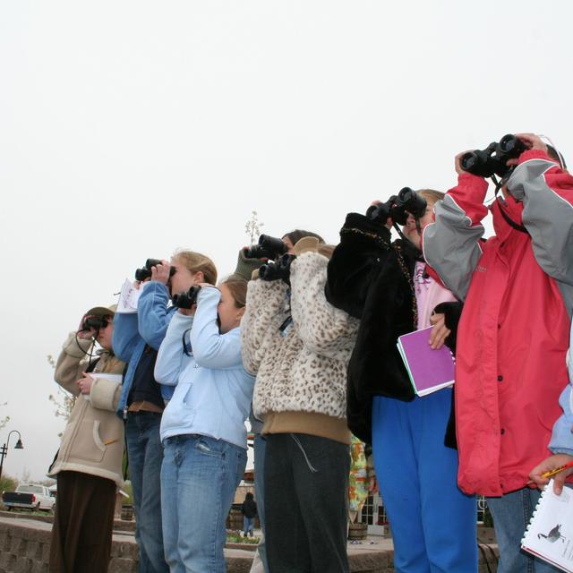 PODCAST: Take a Tour of Central Park's Feathered Friends with Birding Bob - podcast episode cover
