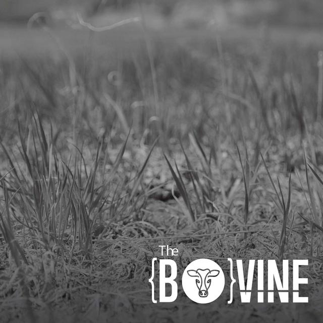 Preparing for drought during autumn office hours - podcast episode cover