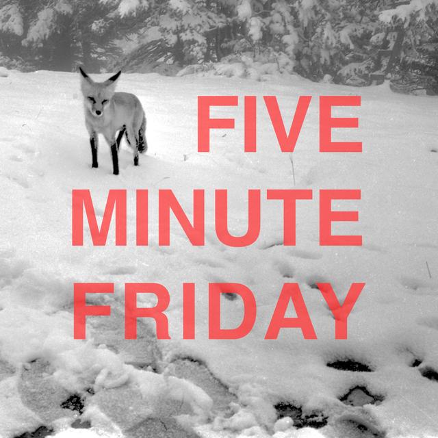 What If You Don't Have The Time? - podcast episode cover